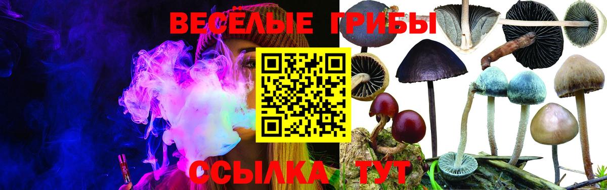 Шадринск  Галлюциногенные грибы GOLDEN TEACHER  Вход с VPN 